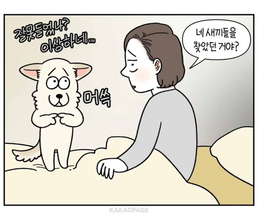 안쓰러운 강아지의 사연...._7.webp