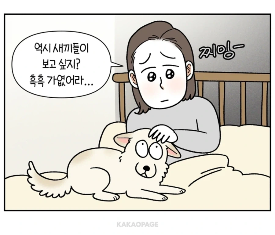 안쓰러운 강아지의 사연...._8.webp
