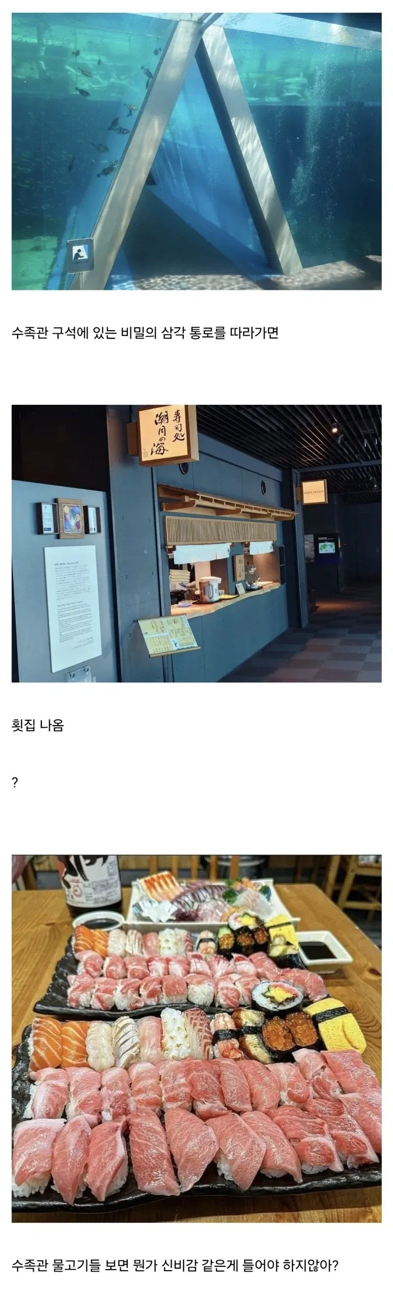 일본 수족관 내부에서 영업하는 일식당.jpg_1.webp