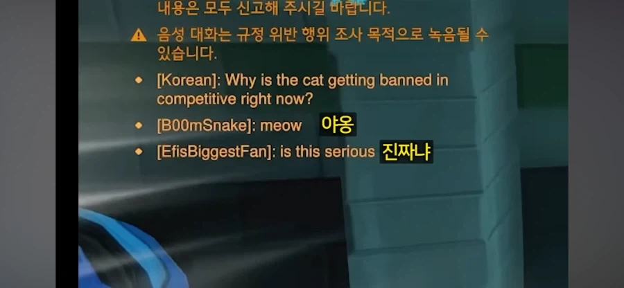 나사빠진 북미 오버워치 유저들_2.webp