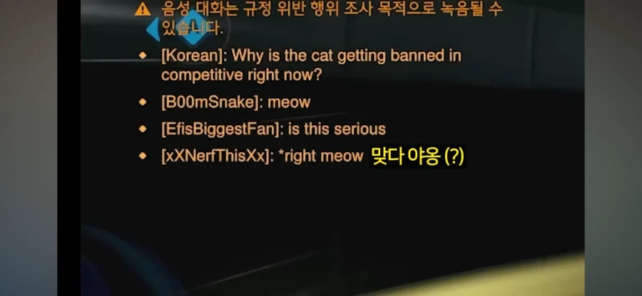 나사빠진 북미 오버워치 유저들_3.webp