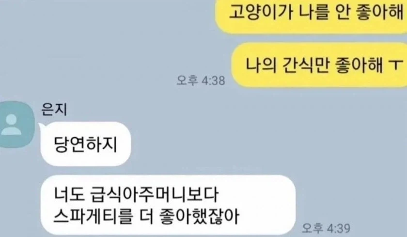 "고양이가 나를 안 좋아해ㅠㅠ" 대표 이미지