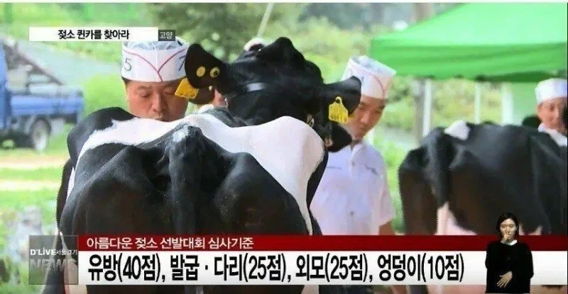 유방 40점, 다리 25점, 외모 25점, 엉덩이 10점.jpg_1.webp