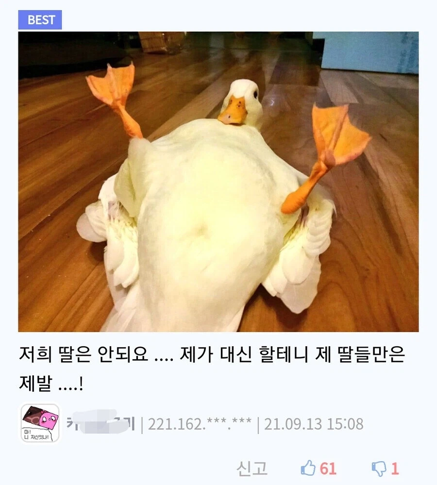 "약속해주세요 딸들만은 건드리지 않겠다고!!" 대표 이미지