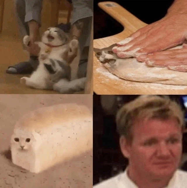 너무나도 슬픈 버터고양이 짤_2.webp