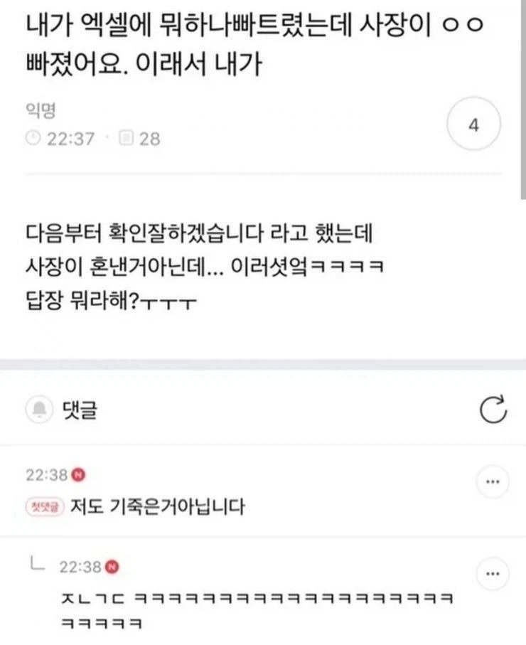 엑셀 뭐하나 빠뜨렸는데 사장이 빠졌다고 함_1.webp