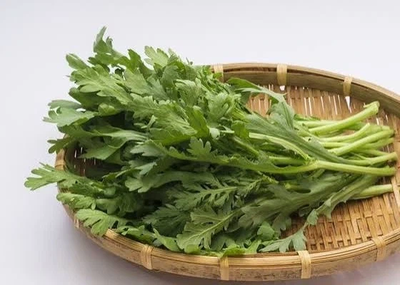 한국에서 진짜 보기 힘든 꽃_3.webp