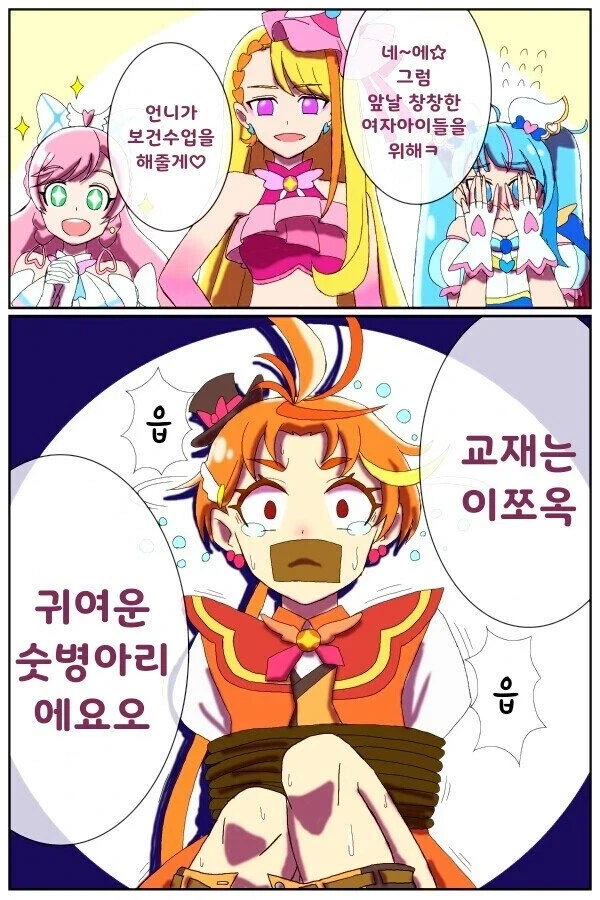 최초의 정규 수컷(?) 프리큐어 당시 취급_1.webp
