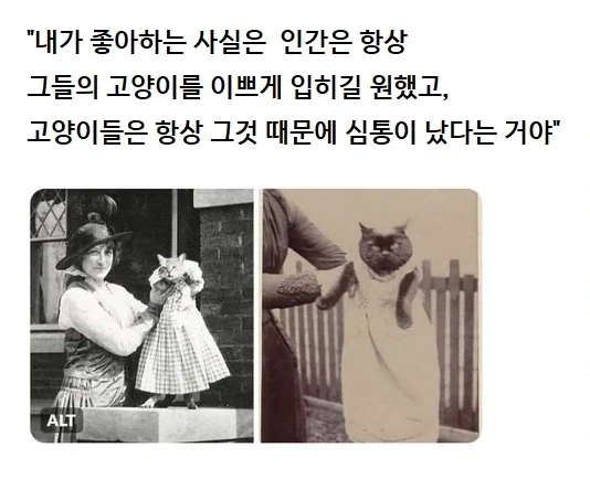 고양이와 인간의 역사_1.webp