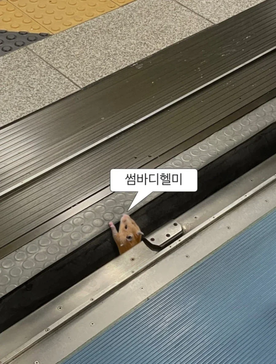 집 뒤에 건물에서 아재들 싸우는데_1.webp