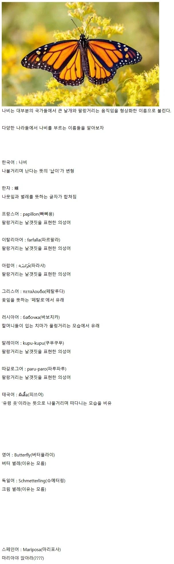 다양한 나라들에서 나비를 부르는 방법.jpg_1.webp