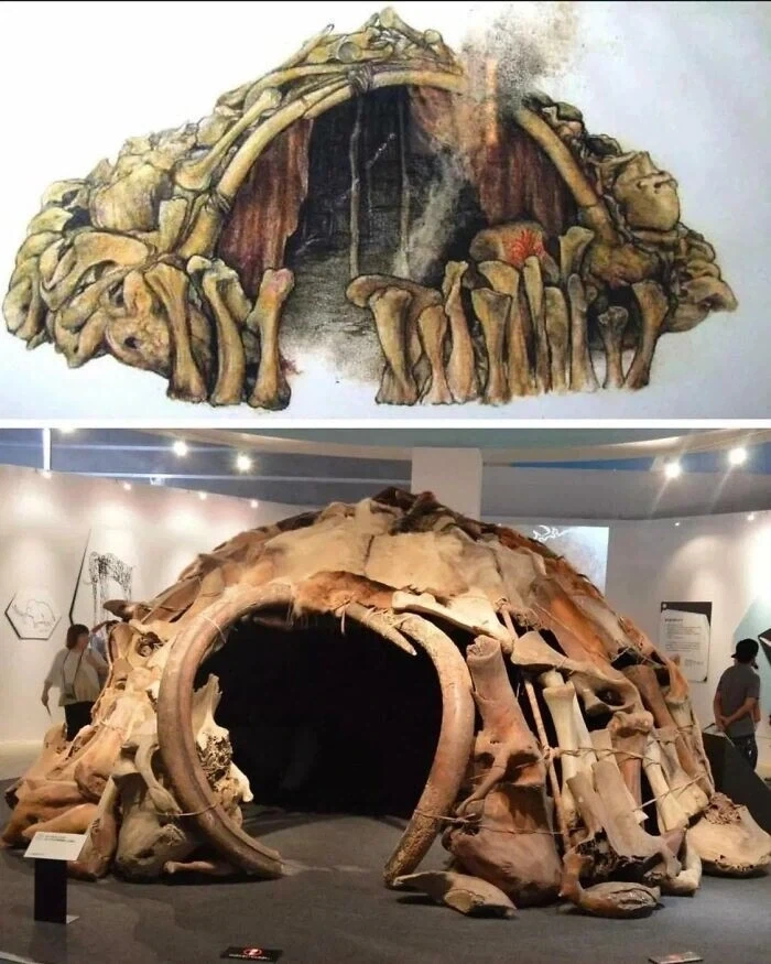 선사시대 인류의 집 재료.jpg_1.webp