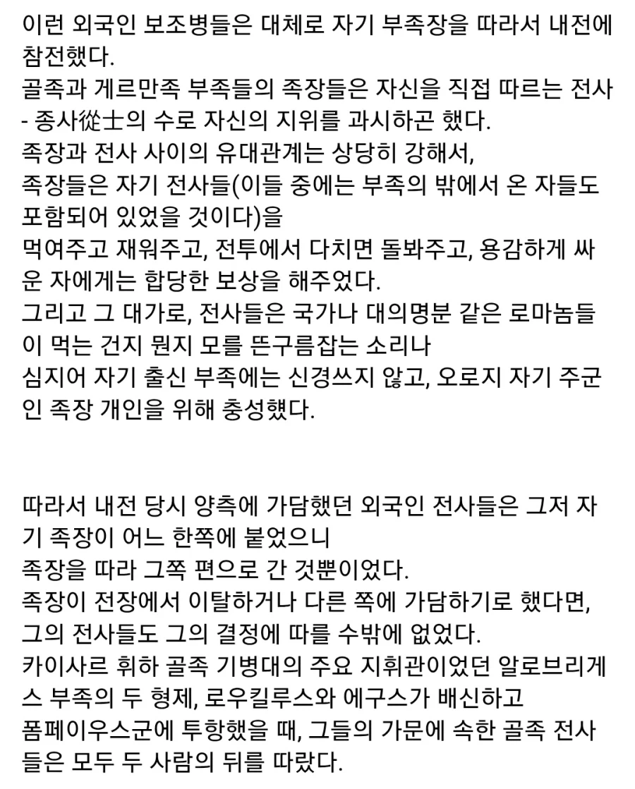 고대 로마군의 게르만족 기병_2.webp