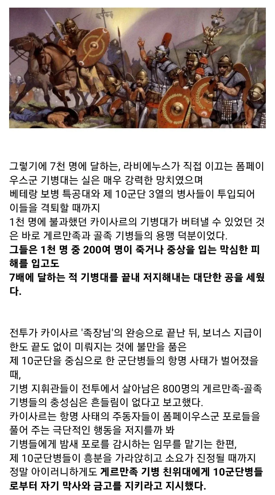 고대 로마군의 게르만족 기병_7.webp