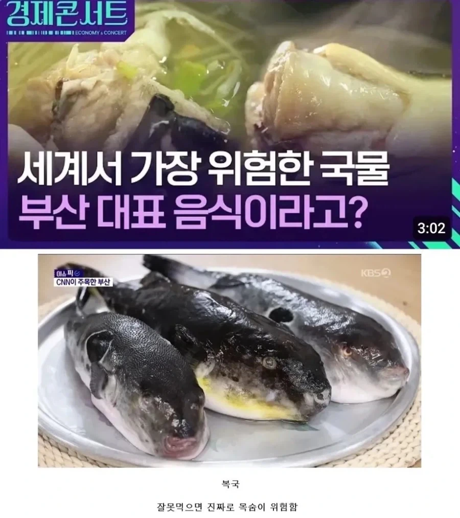 세상에서 가장 위험한 한식.jpg_1.webp