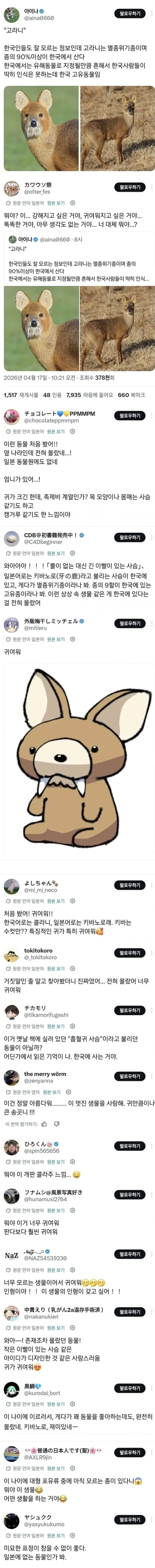 ??? : 에?? 고라니?? 메차 카와이_1.webp