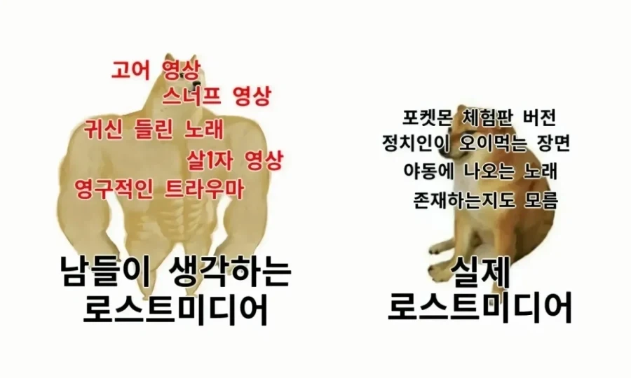 로스트 미디어의 특징_1.webp