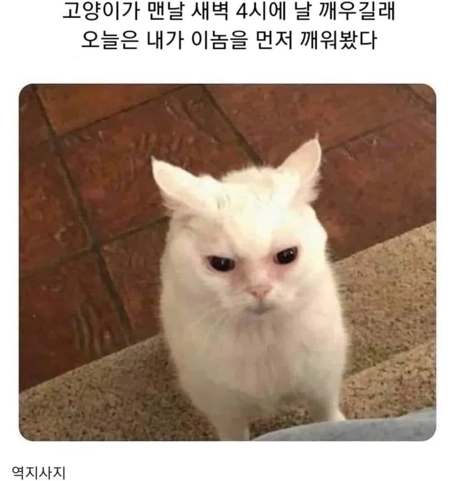 내로남불의 끝판왕_1.webp