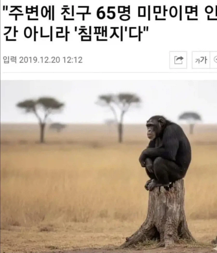 우후우후 우훅 우끼아아아악 우끼끼 우꺄아아아악_1.webp