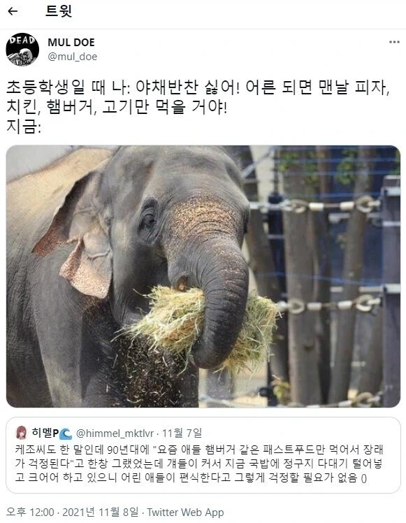 부모들이 애들 편식에 너무 신경 쓸 필요 없는 이유_1.webp