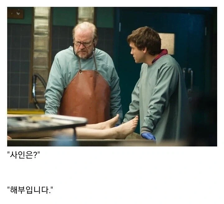 "부검 결과가 나왔습니다" 대표 이미지