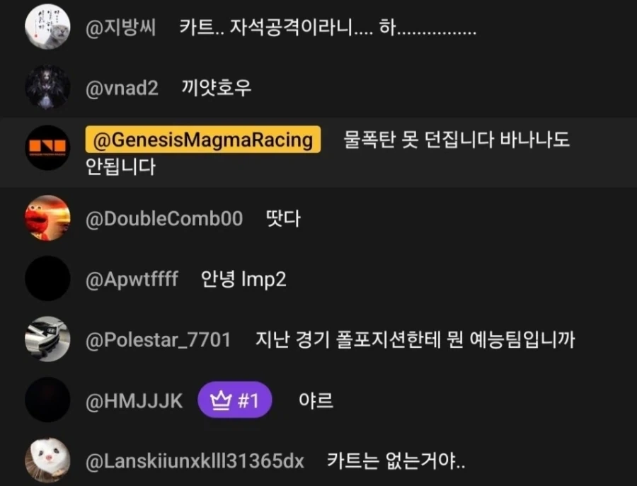 유튜브 관리자도 감다살이라는 제네시스 마그마 레이싱_1.webp