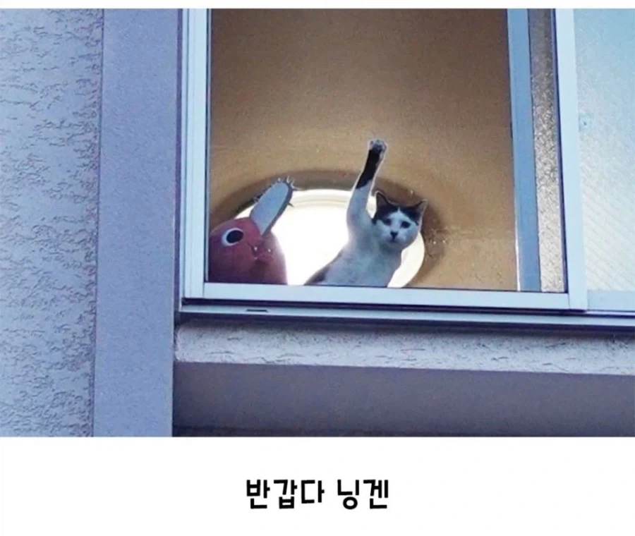 살려달라 닝겐_2.webp