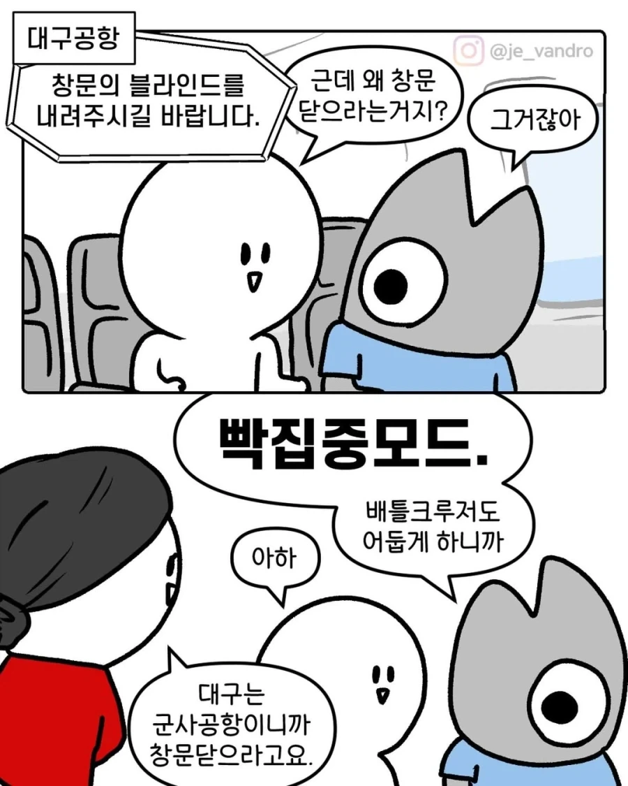 백상아리 귀갑묶기 이미지 19