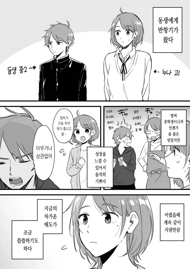 남동생에게 반항기가 왔다.mnahwa_1.webp
