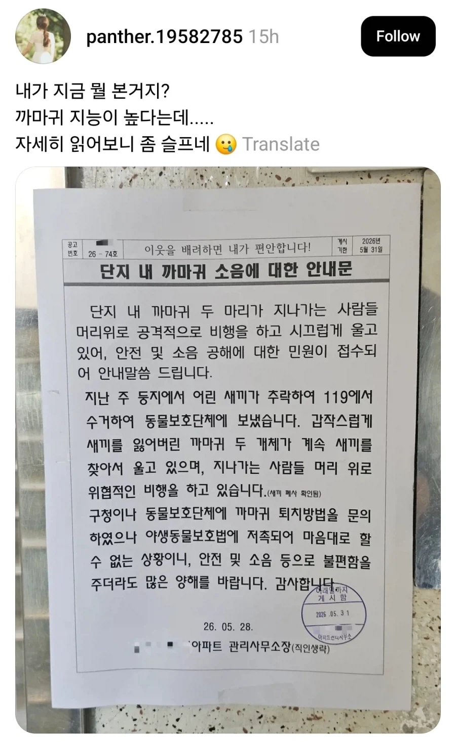 아파트 까마귀 소음 관련 안내문_1.webp
