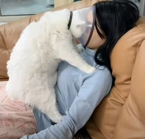 "내 가장 소중한 장기를 없애놓고... 날 위해서였다고?" 대표 이미지