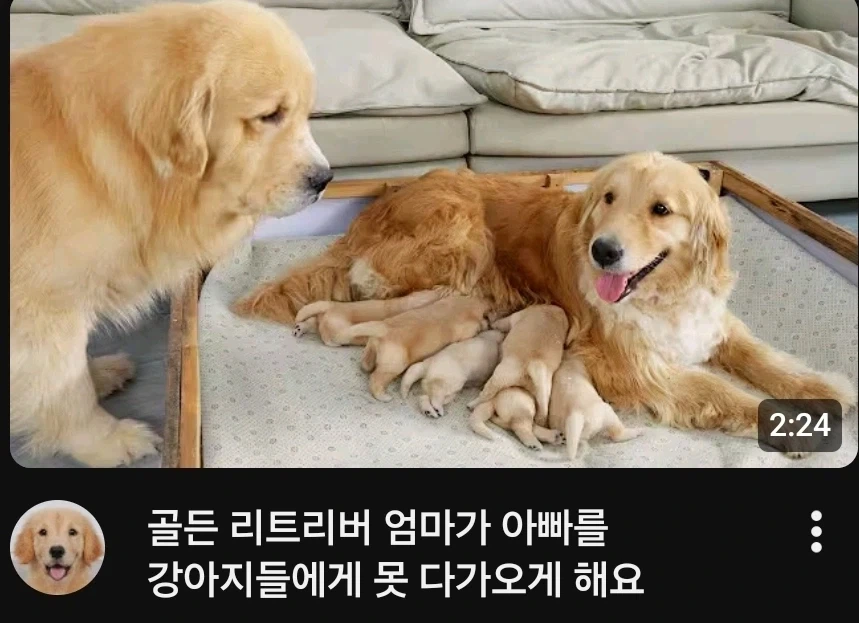 아빠가 왕따 당하는 가정_1.webp