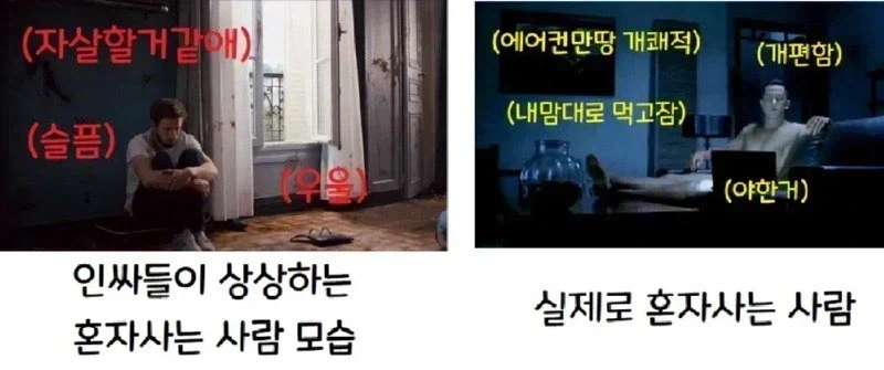 혼자 사는 사람들의 실제모습 .jpg_1.webp
