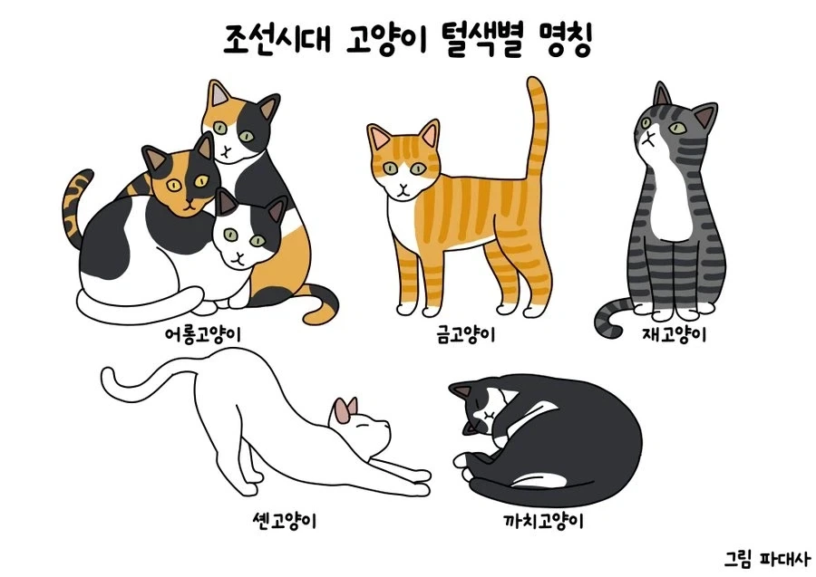 "조선시대 문인들이 고양이를 위해 지은 시" 대표 이미지