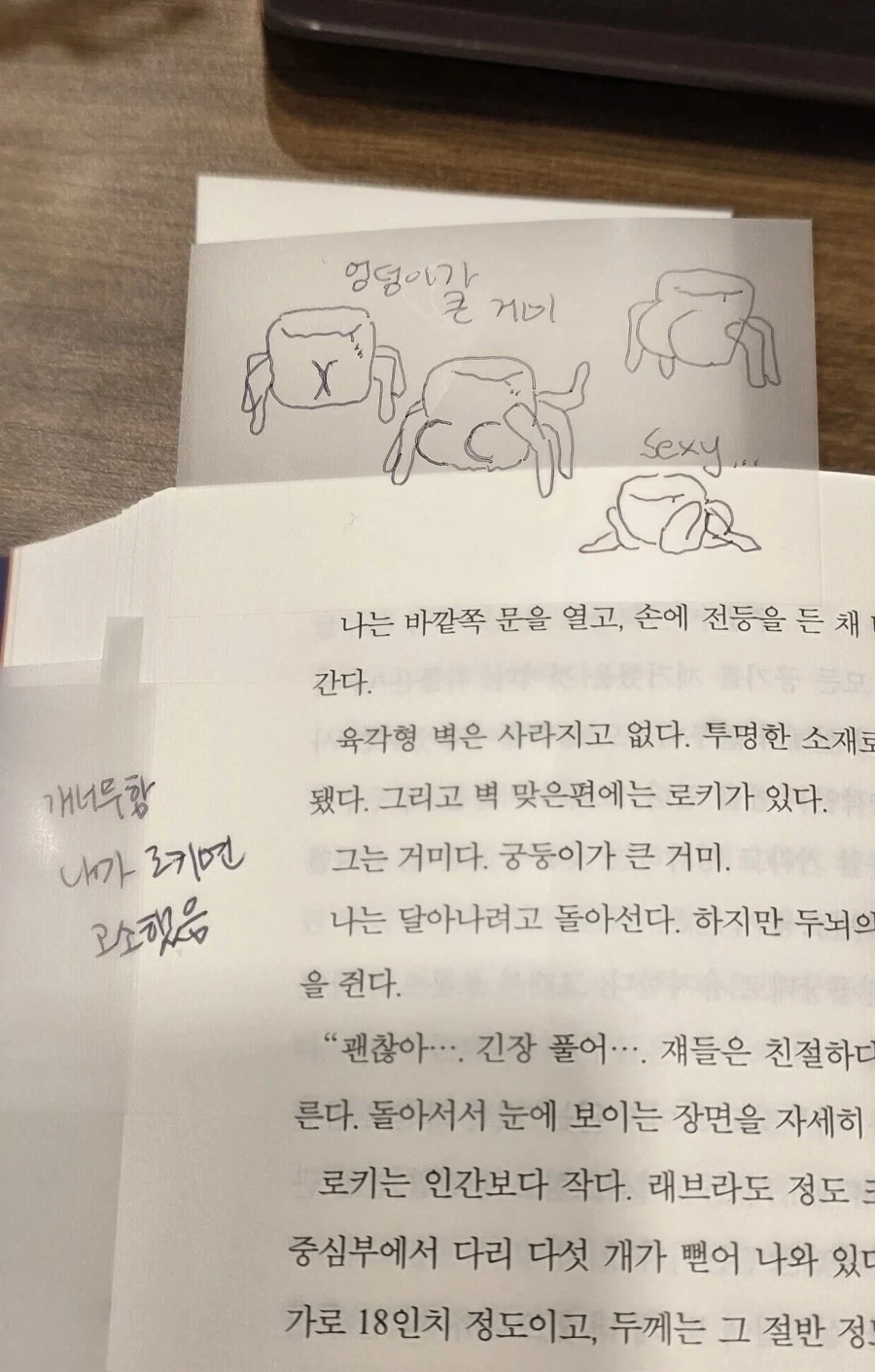 헤일메리 짤보는데_1.webp