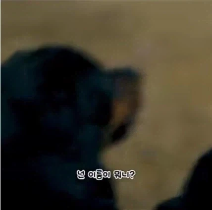 서양에서도 이상한 이름인거_5.webp