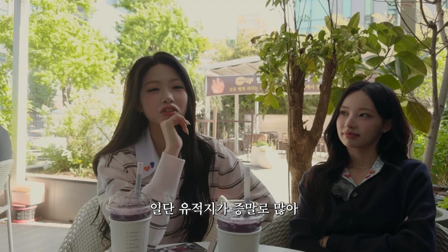 지방출신 아이돌의 숨막히는 힘싸움.jpg_19.webp