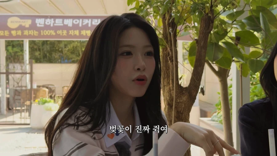 지방출신 아이돌의 숨막히는 힘싸움.jpg_27.webp
