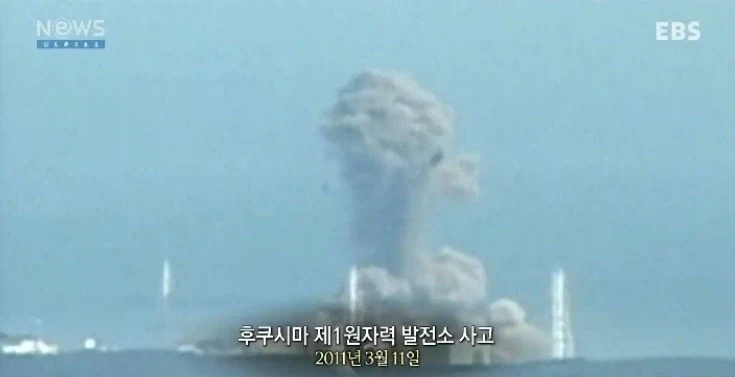 발전원별 사망자 수_4.webp