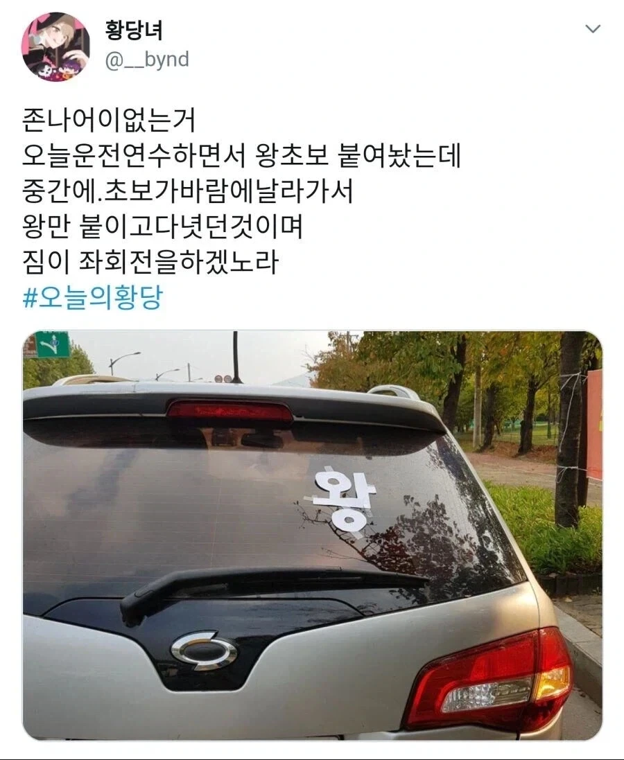 운전 연습하다 순식간에 신분 급상승 함._1.webp