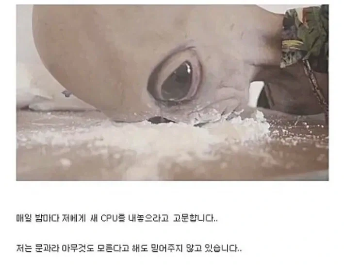 영화 디스클로저 데이 요약_4.webp