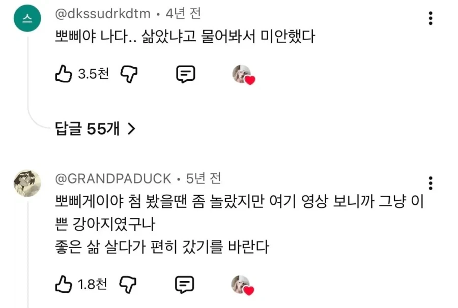 눈에넣어도안아픈우리집뽀삐.JPG_4.webp