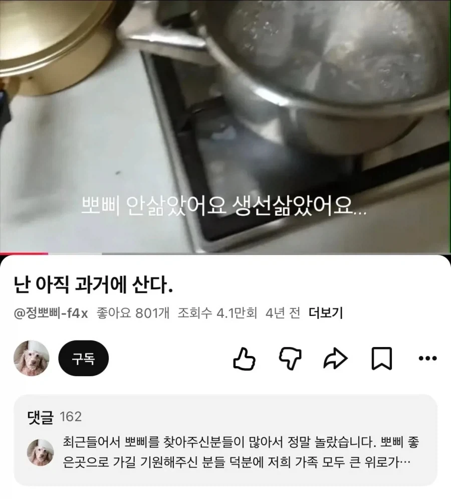 눈에넣어도안아픈우리집뽀삐.JPG_5.webp