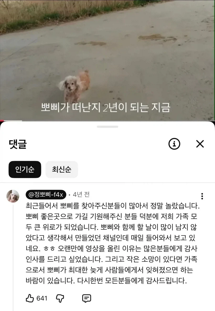 눈에넣어도안아픈우리집뽀삐.JPG_6.webp