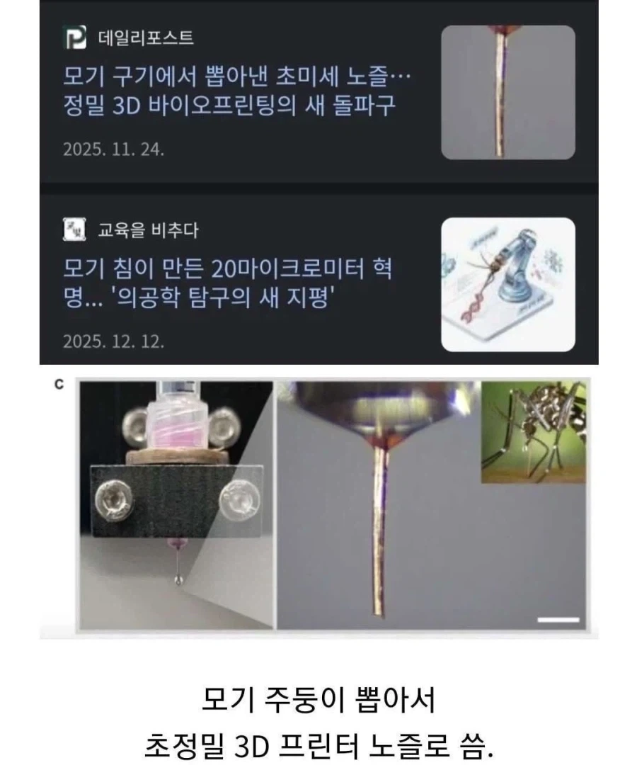 유머 644 페이지 | TOONZIP 이미지 7