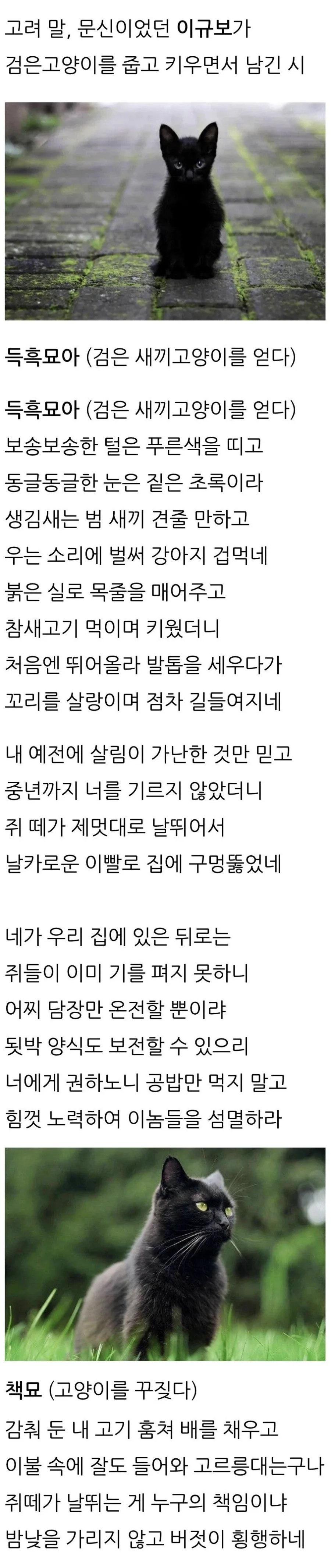 유머 638 페이지 | TOONZIP 이미지 4