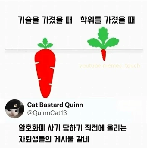 유머 636 페이지 | TOONZIP 이미지 2