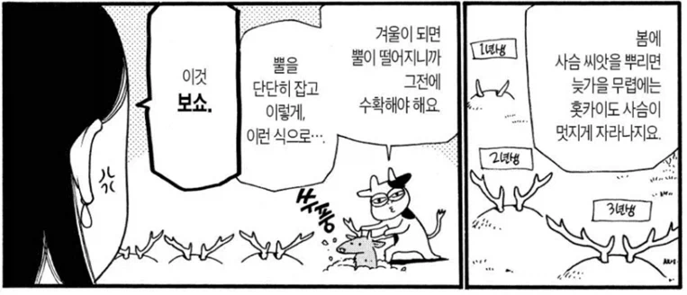 태풍이 지난 뒤의 홋카이도_3.webp