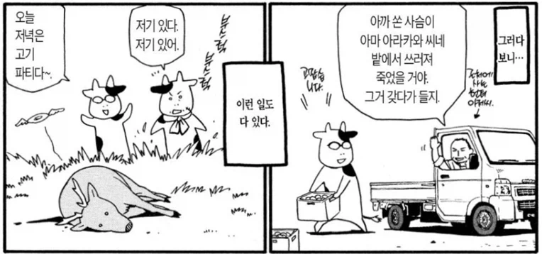 태풍이 지난 뒤의 홋카이도_6.webp