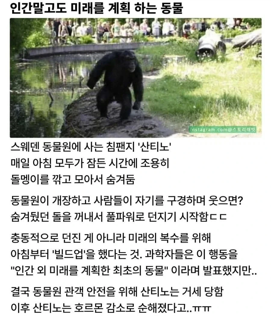 유머 626 페이지 | TOONZIP 이미지 5